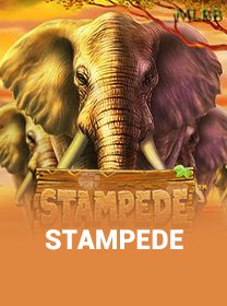 Stampede